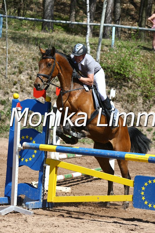 204M8441_JPS Zindy_Spring_Axx.JPG